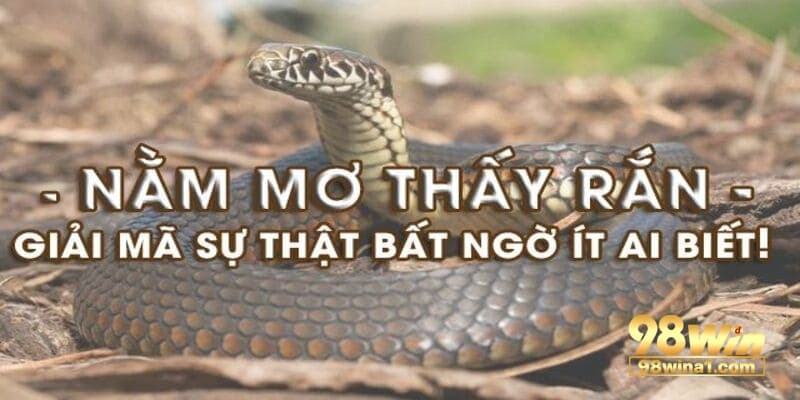 Mẹo đánh đề chuẩn khi áp dụng giấc mơ 